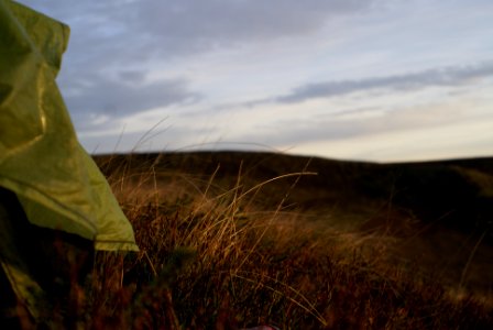 Tent, Camping, Sunset
