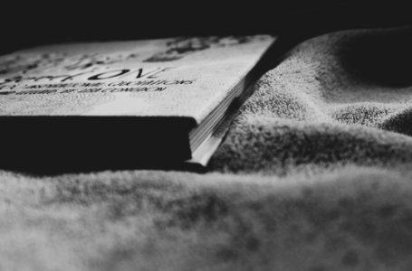 Blanket, Read, Book photo