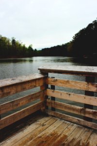 Nature, Wood, Trees