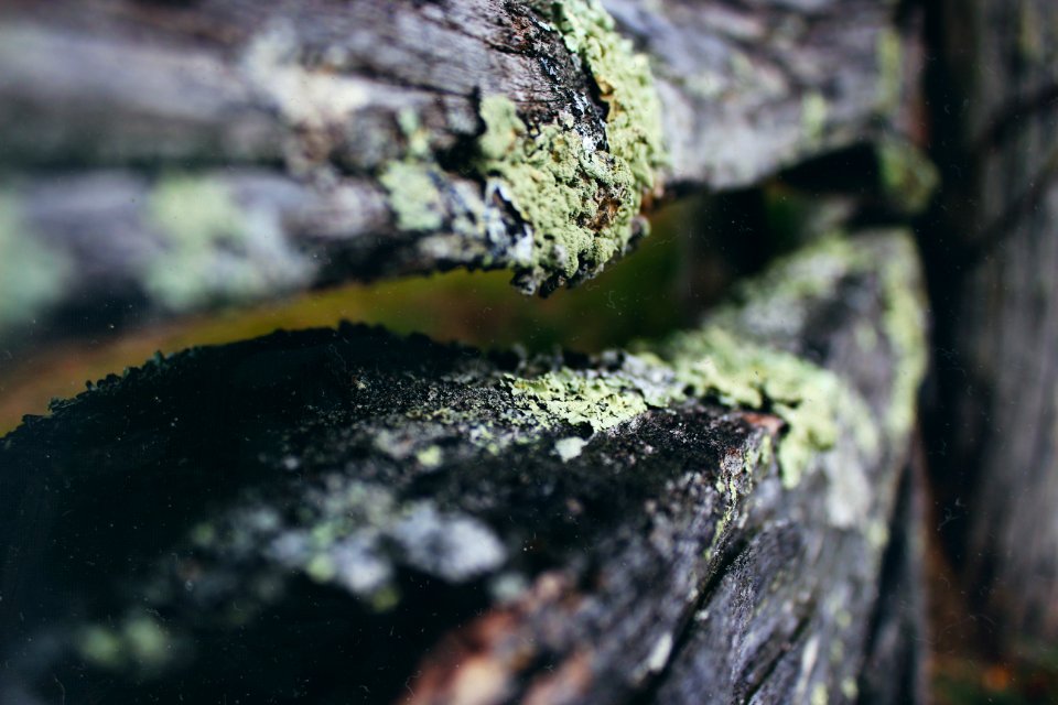 Nature, Rustic, Vintage