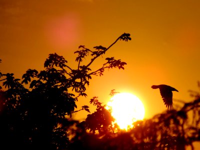 Coimbatore, India photo