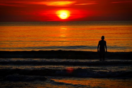 Silhouette, Human, Swimmer