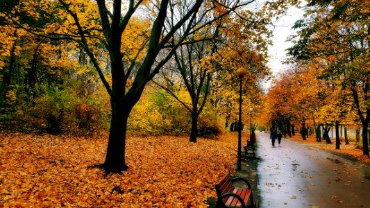 Park szczliwicki, Warszawa, Pol