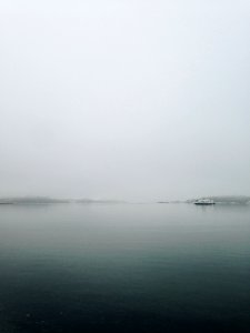 Oslo, Norway, Wild