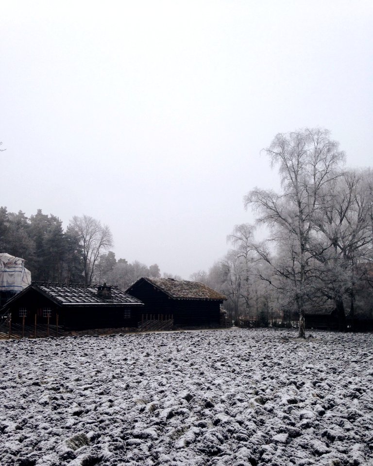 Oslo, Norway, The norwegian museum of cultural history photo