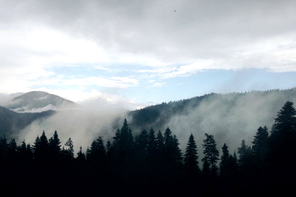 Cloud, Mountain, Wilderness