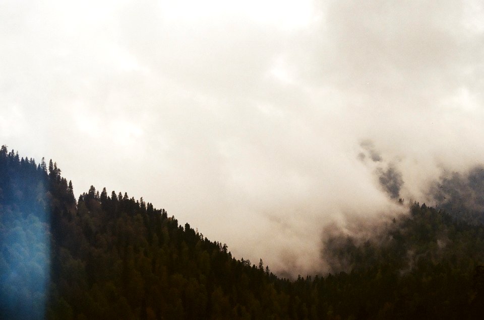 Wilderness, Mountain, Fog