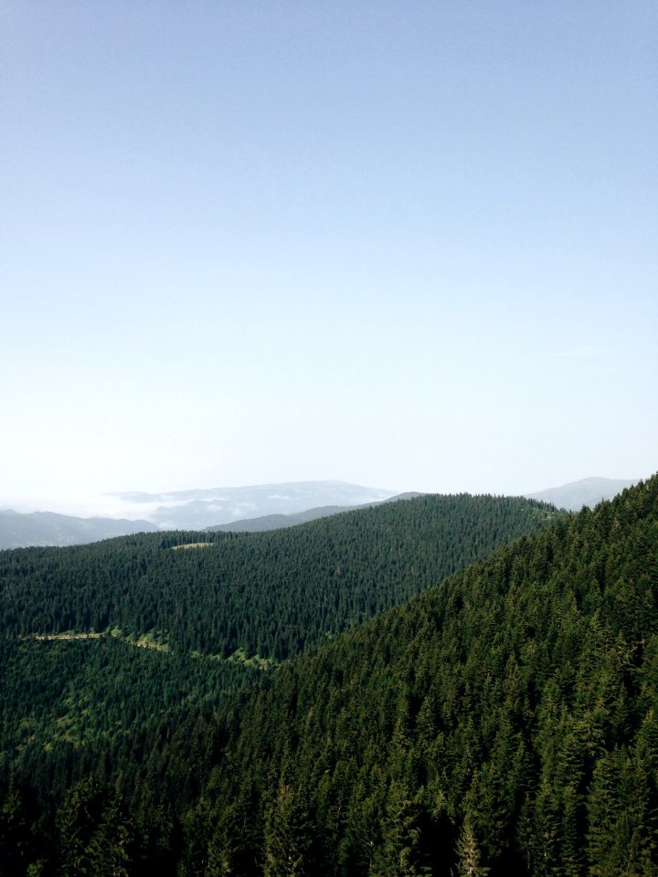 Liveauthentic, Folk, Mountains