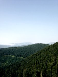 Liveauthentic, Folk, Mountains