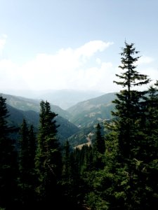 Scape, Wild, Nature