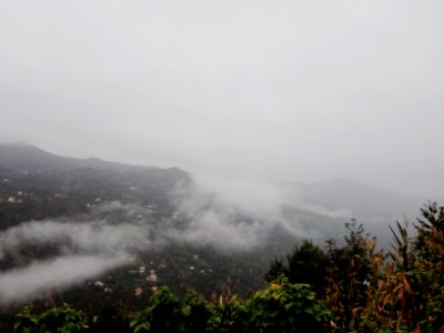 trees under white clouds with mountain background photo