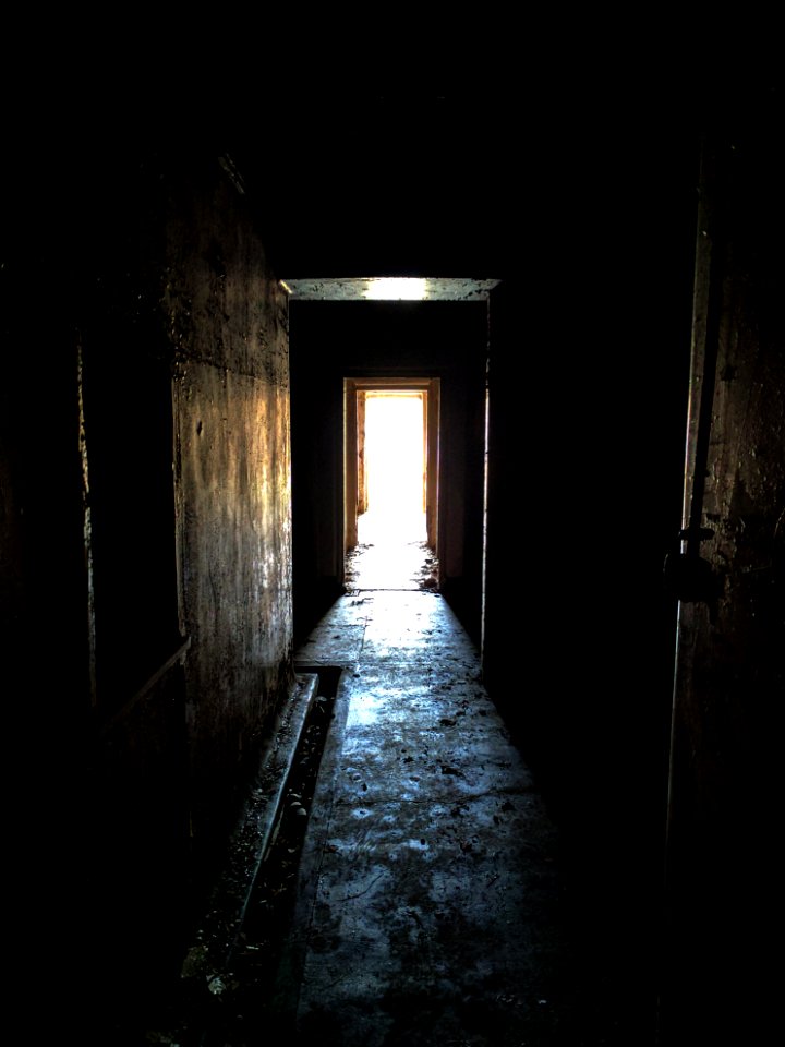Damp, Oned, Derelict