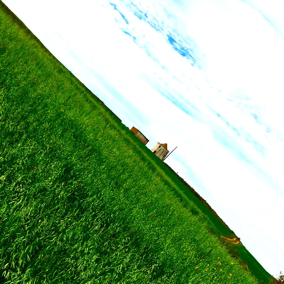 untitled