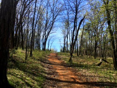 Marcella vivrette smith park, Brentwood, United states