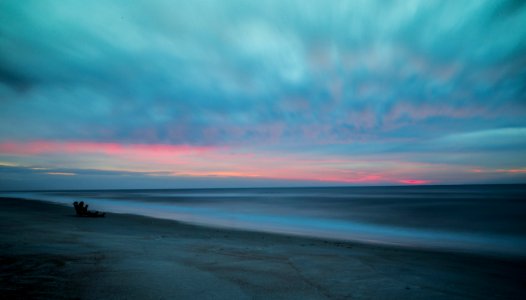 beach with drift wood photo