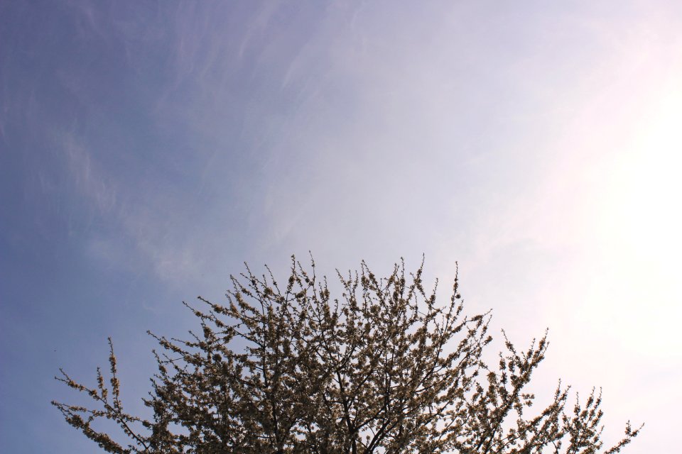 Wrexham, United kingdom, Wales