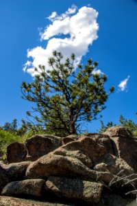 Shambhala mountain center, Red feather lakes, United states photo