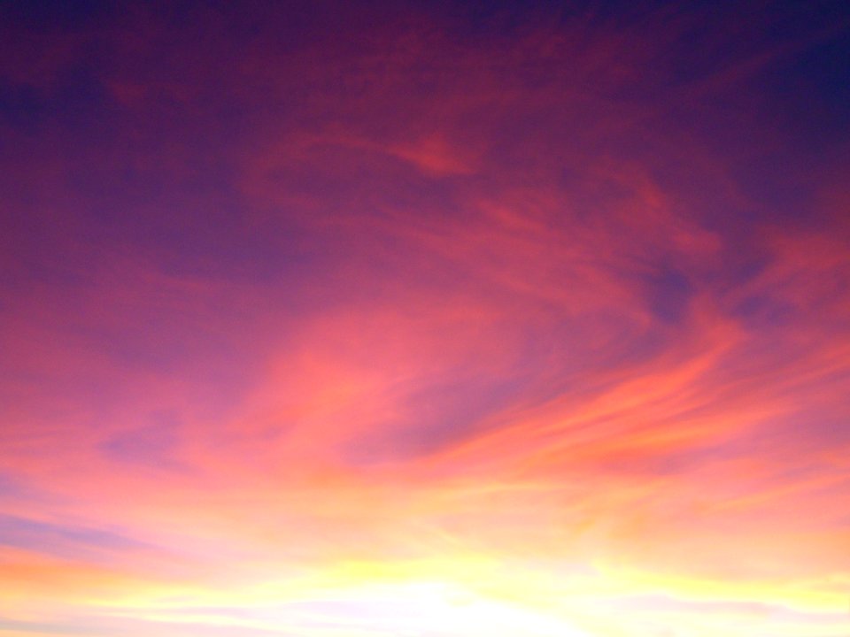 Santa cruz, United states