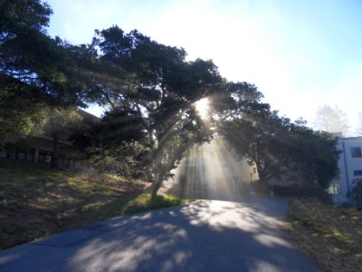University of california santa cruz, Santa cruz, United states