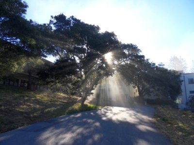 University of california santa cruz, Santa cruz, United states photo