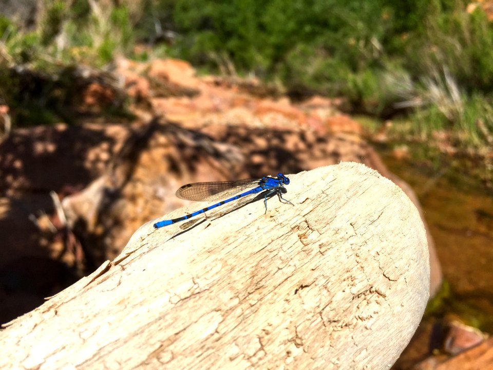 Utah, Hurricane, United states