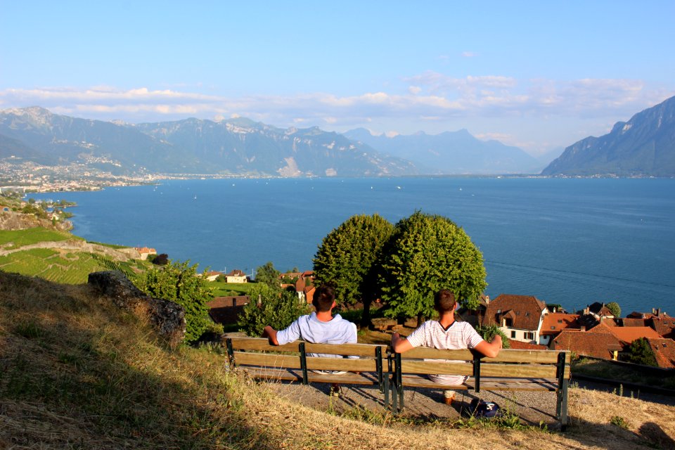Switzerl, Vineyard, Mountains