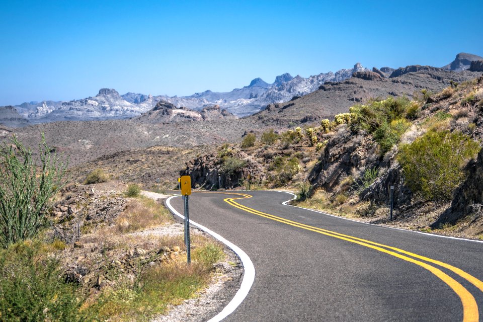 Joshua tree national park, United states, Usa photo