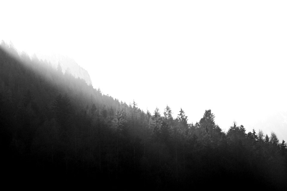 Hill, Woods, Austria