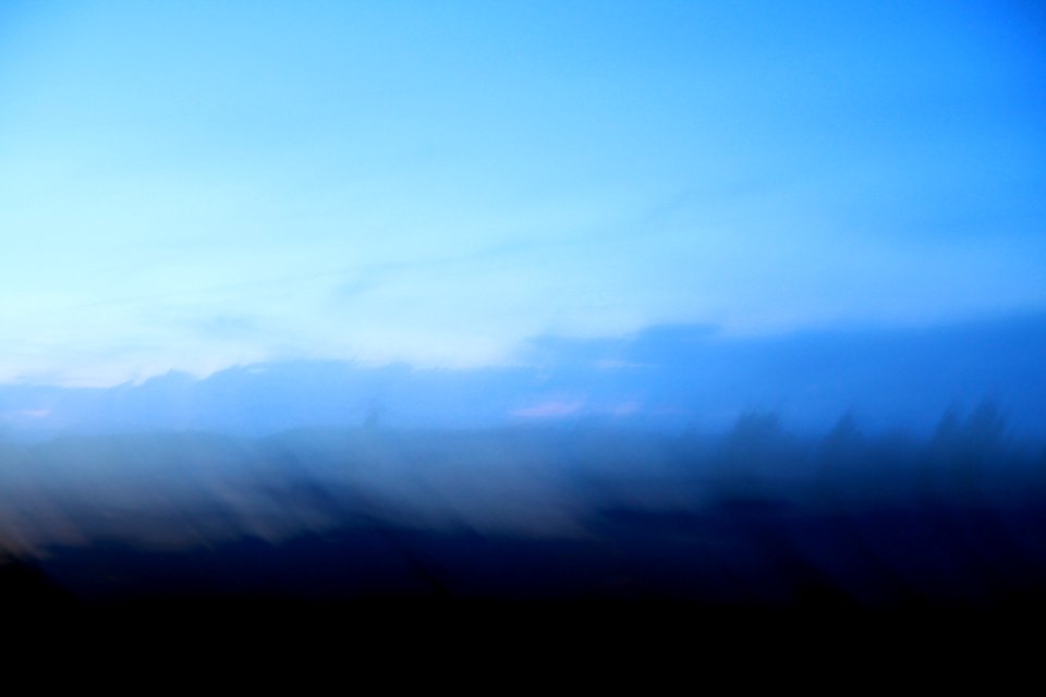 Forest, Sky, Blue