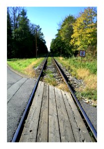 Endless, Street, Forest