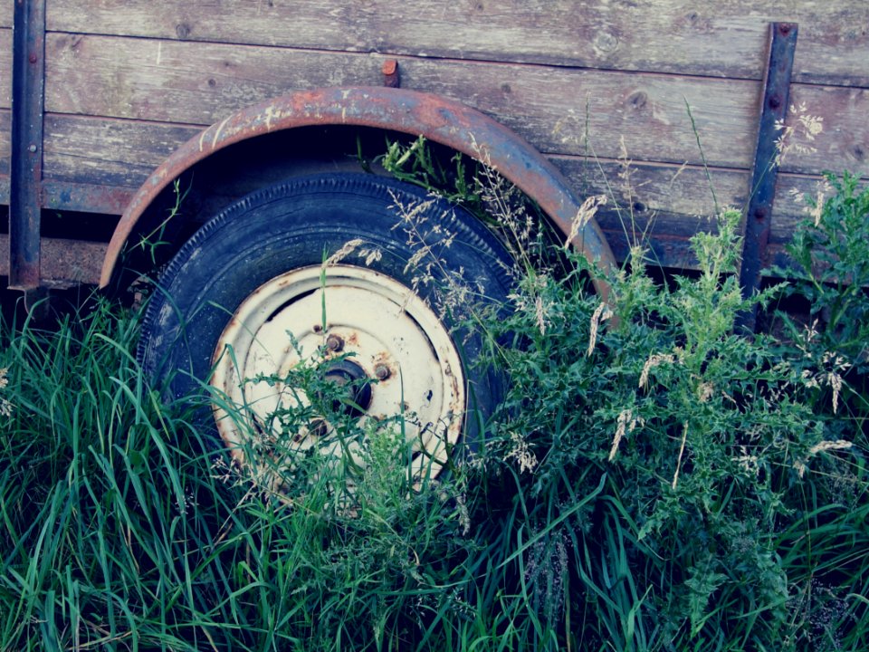Rust, Grass, Wheel