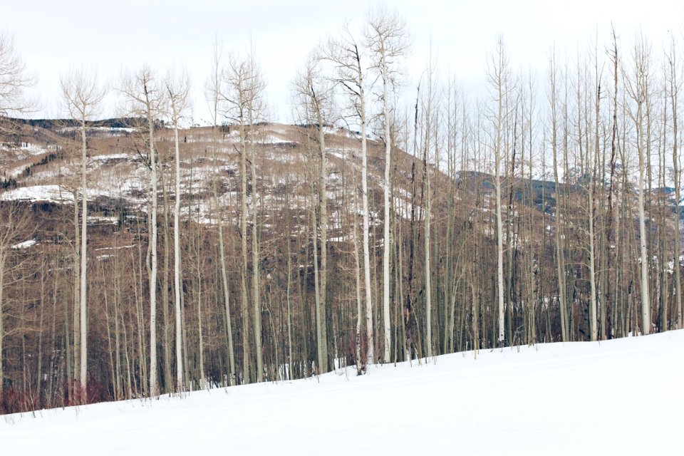 Vail, United states, Mountain
