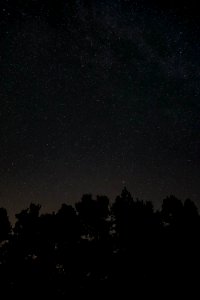 low angle of starry night