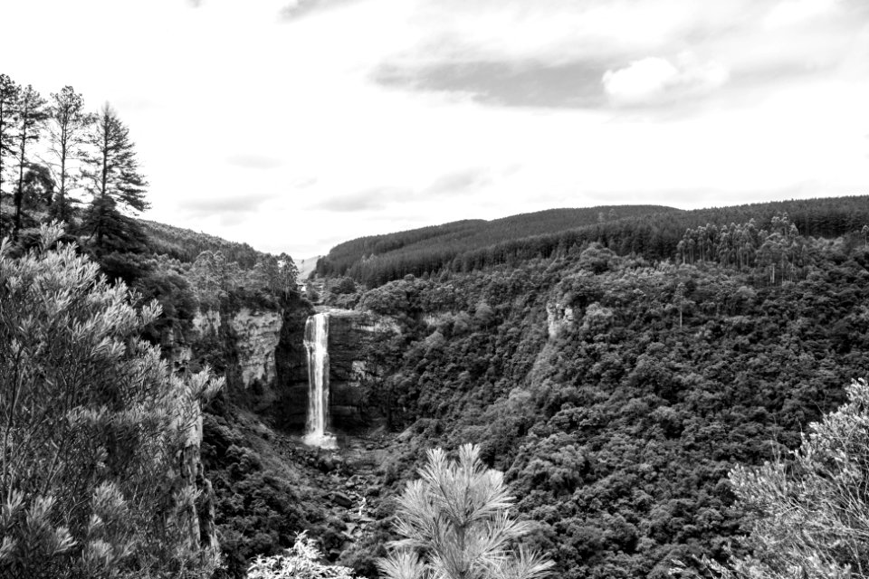 Nature, Waterfall, Forest