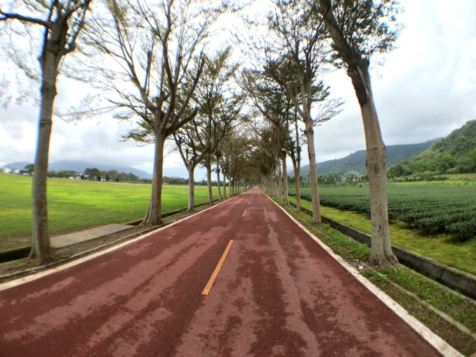 Taiwan, Gaotai industry road, Taitung