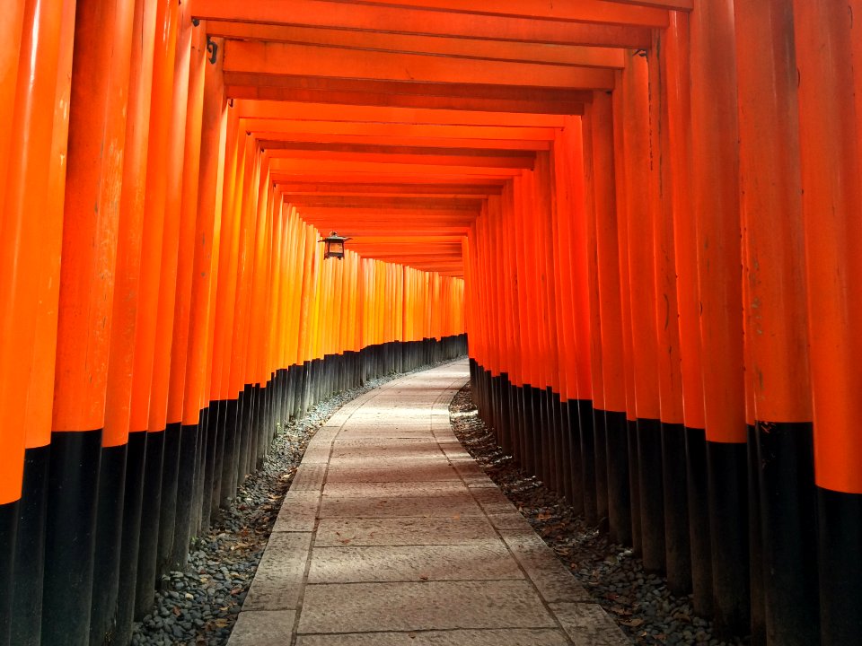 orange and black arc