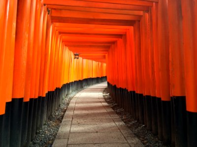 orange and black arc