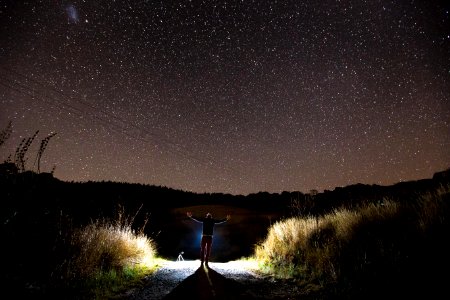 Night sky, Trees, Long exposure