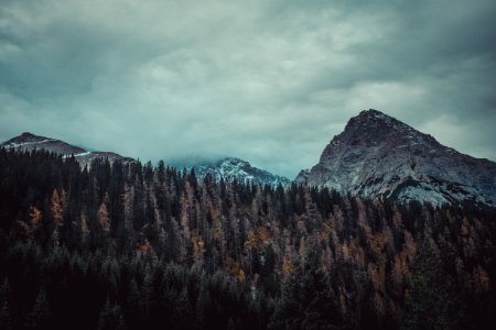 trees on mountain under cloudy sky photo