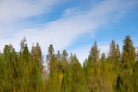 Lake, Trees, Reflection