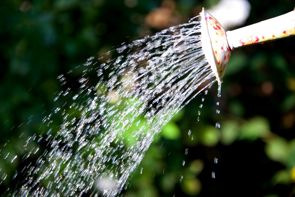 Summer, Splash, Watering can
