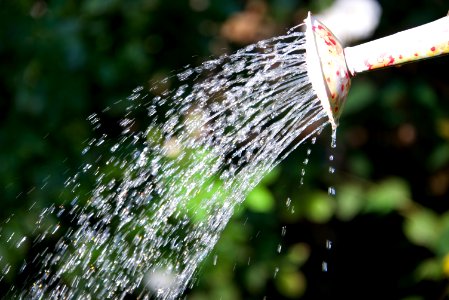 Summer, Splash, Watering can