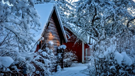 Sweden, Winter, Snow