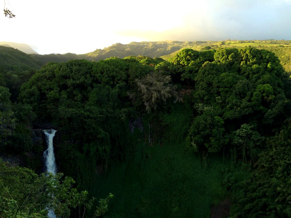 Haleakal national park, Kula, United states photo