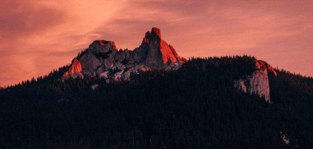 low angle photography mountain forest during golden hour photo