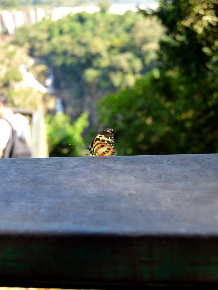 Foz do igua u, Brazil, Nature