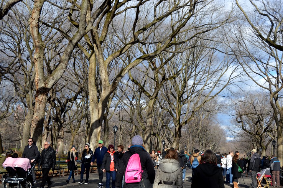 Central park, New york, United states