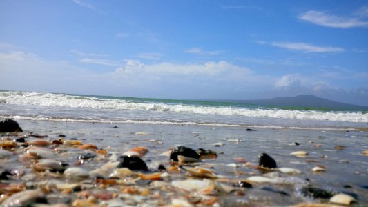 New zeal, Auckl, Ocean