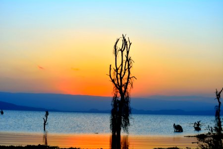 Outdoor photography, Outdoors, Magical kenya