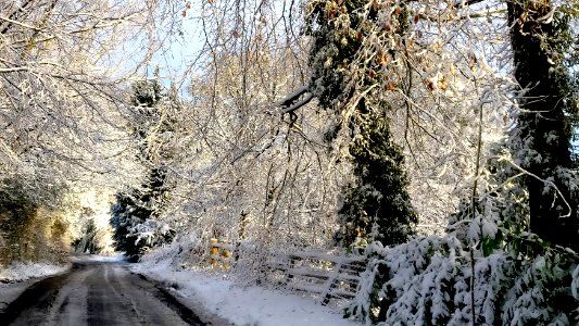 Caterham, United kingdom, Snow covered photo